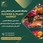 نمایشگاه دائمی گل و گیاهان زینتی رایاگل