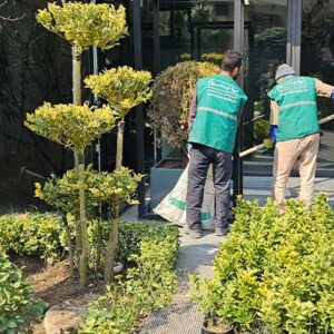 خدمات طراحی فضای سبز شهری
