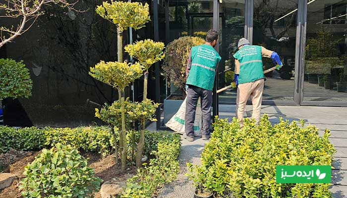 خدمات طراحی فضای سبز شهری