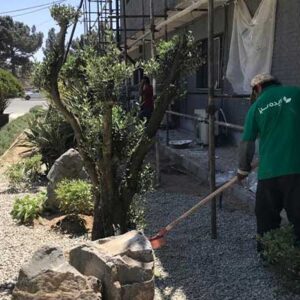طراحی محوطه سبز برای ساختمان‌های اداری