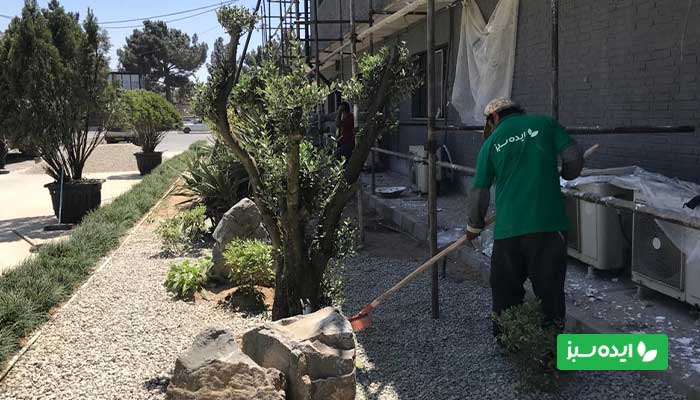 طراحی محوطه سبز برای ساختمانهای اداری