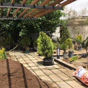 خدمات طراحی فضای سبز ویلا