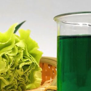 رنگ طبیعی کلروفیل انتخابی سبز برای کرم ویفر های خاص