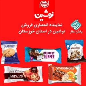 کیک و کلوچه نوشین لاهیجان رو مستقیم از نمایندگی رسمی بخرید!