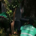 خدمات نگهداری فضای سبز و باغبانی
