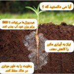 فروش انواع هیدروژل های کشاورزی- افزایش بهره وری کشاورزی با بهترین قیمت
