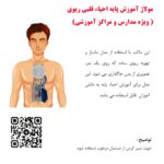 مرکز تولید علمی صنعتی تخصصی انواع مولاژ ، مدل ومانکن های آموزش پزشکی ، پرستاری وامداد نجات در کشور