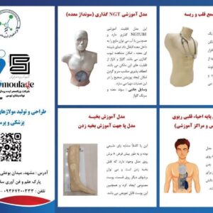 تولید و پخش مولاژ و مانکن تخصصی آموزش پزشکی و پرستاری