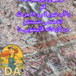 بهترین قالیشویی نزدیک من