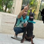 سگ ژرمنشپرد فروش سگ نگهبان سفت در کرج