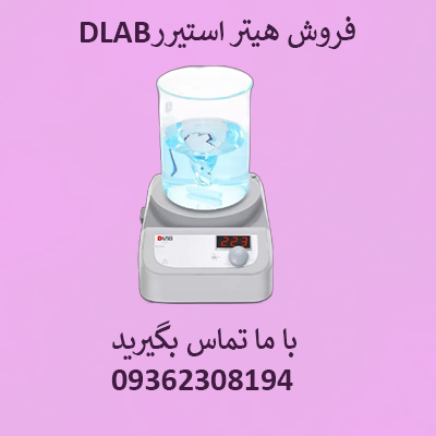 معرفی هیتر استیرر دی لب