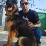 سگ ژرمنشپرد فروش سگ نگهبان سفت در کرج
