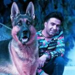 ژرمن شپرد فروش سگ ژرمن شپرد