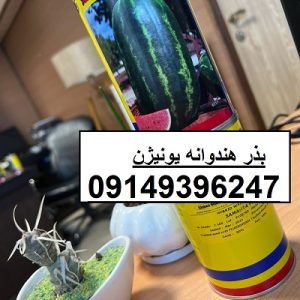 بذر هندوانه یونیژن