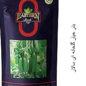 بذر خیار گلخانه ای سالار