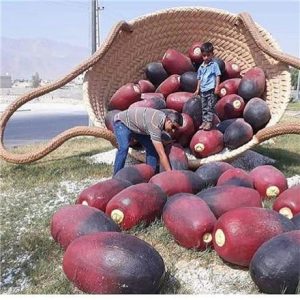 المان های شهری فایبرگلاس زرین کار صفاهان