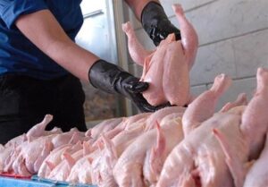 دستگاه خردکن مواد پروتئینی . دستگاه برش طیور