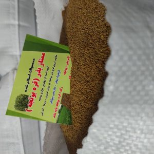 بذر یونجه