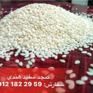 فروش انواع کنجد به قیمت عمده