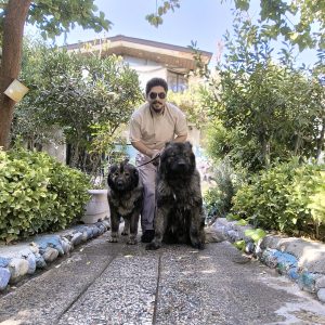 فروش سگ قفقازی