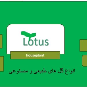 خدمات کارت ویزیت