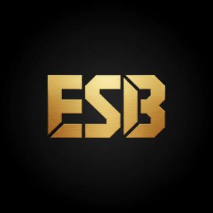تعمیر تخصصی ماشین‌آلات صنعتی و اداری | ESB