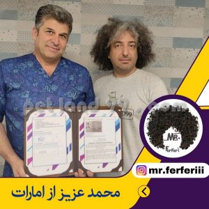 آموزشگاه آرایش حیوانات خانگی