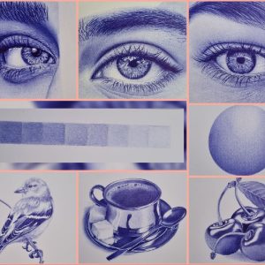 آموزش مجازی و  سفارش نقاشی با خودکار