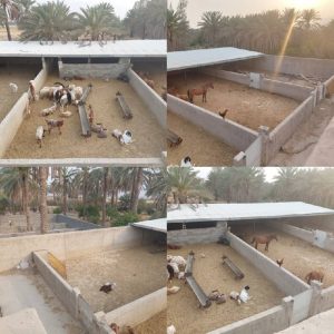 رهن و اجاره