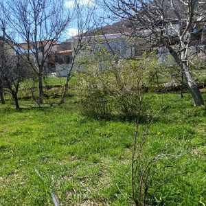 ۳۶۰متر زمین در سوادکوه روستای دوگل واقع در لی پشت به فروش میرسد