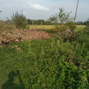 فروش زمین