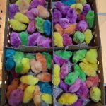 جوجه رنگی و جوجه گلپایگان 3 روزه عمده و خرده