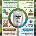 شرکت گابریست