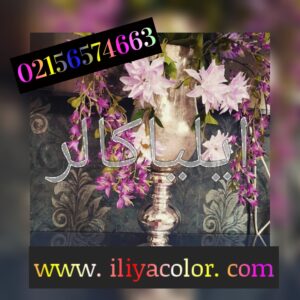 شرکت مهندسی تولیدی ایلیاکالر