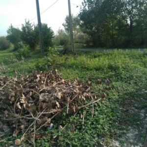 زمین به متراژ ۲۸۰ متر