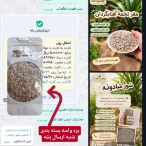 آجیل و خشکبار تنقلات سالم