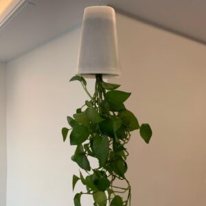 گلدان وارونه برای گیاهان؛ انتخابی جذاب برای دوستداران گل و گیاه